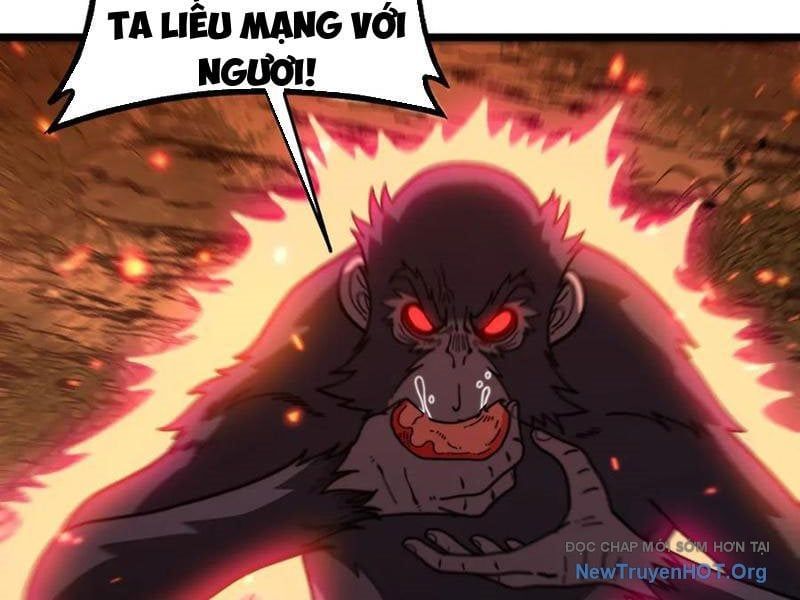 Lão Xà Tu Tiên Truyện
