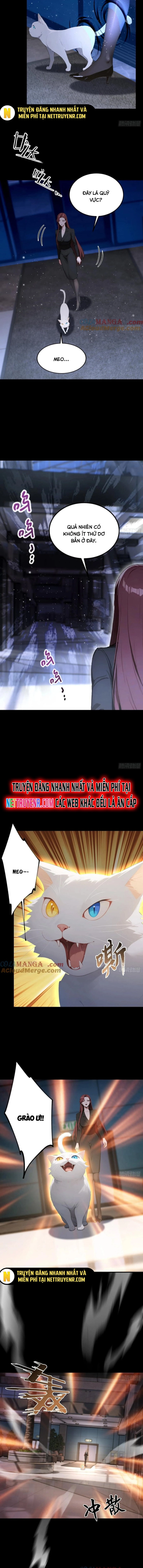 Quá Ảo! Ta Mở Lớp Đào Tạo Nữ Đế