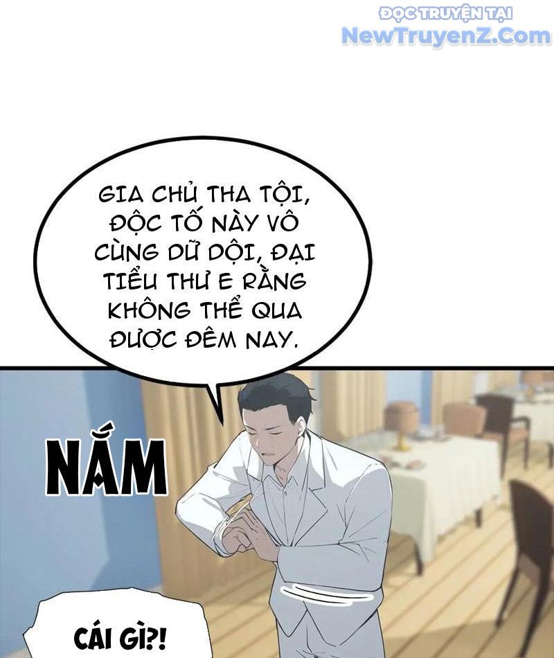 Đô Thị Thánh Thủ: Ta Là Y Võ Đỉnh Phong