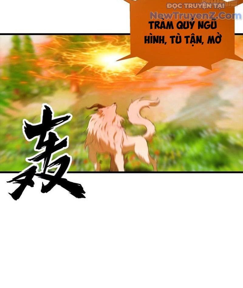 Đô Thị Thánh Thủ: Ta Là Y Võ Đỉnh Phong