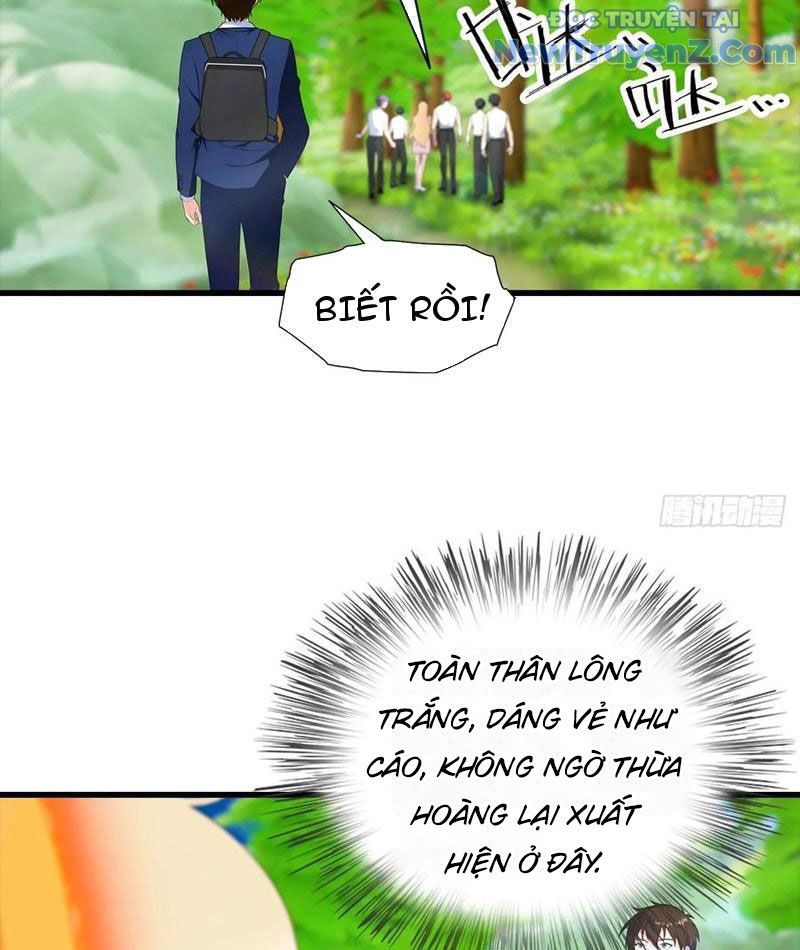 Đô Thị Thánh Thủ: Ta Là Y Võ Đỉnh Phong