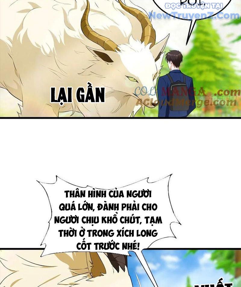Đô Thị Thánh Thủ: Ta Là Y Võ Đỉnh Phong