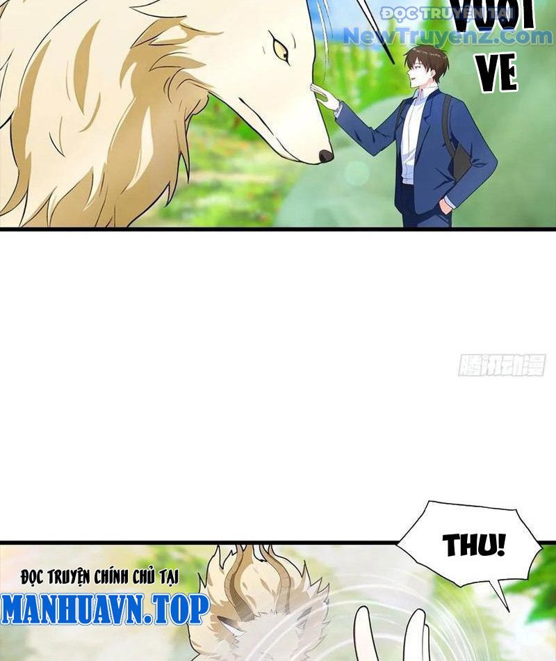 Đô Thị Thánh Thủ: Ta Là Y Võ Đỉnh Phong