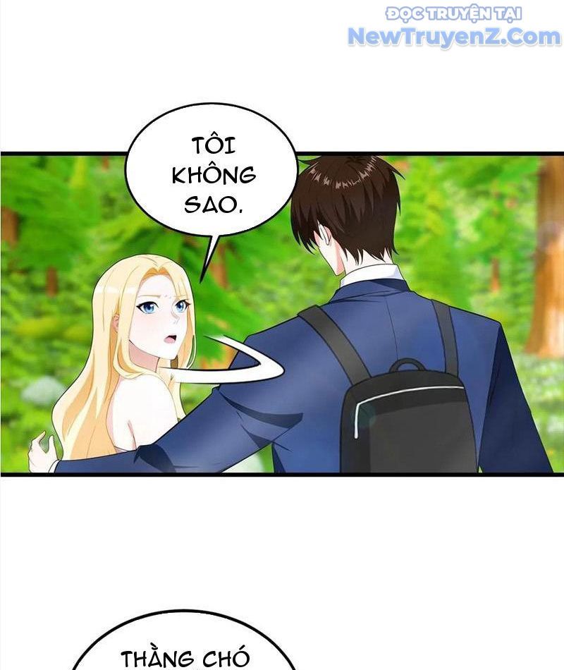 Đô Thị Thánh Thủ: Ta Là Y Võ Đỉnh Phong