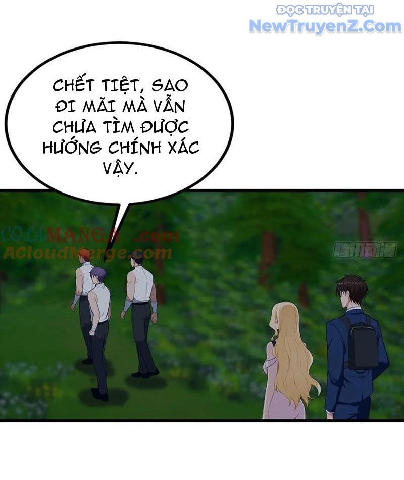 Đô Thị Thánh Thủ: Ta Là Y Võ Đỉnh Phong