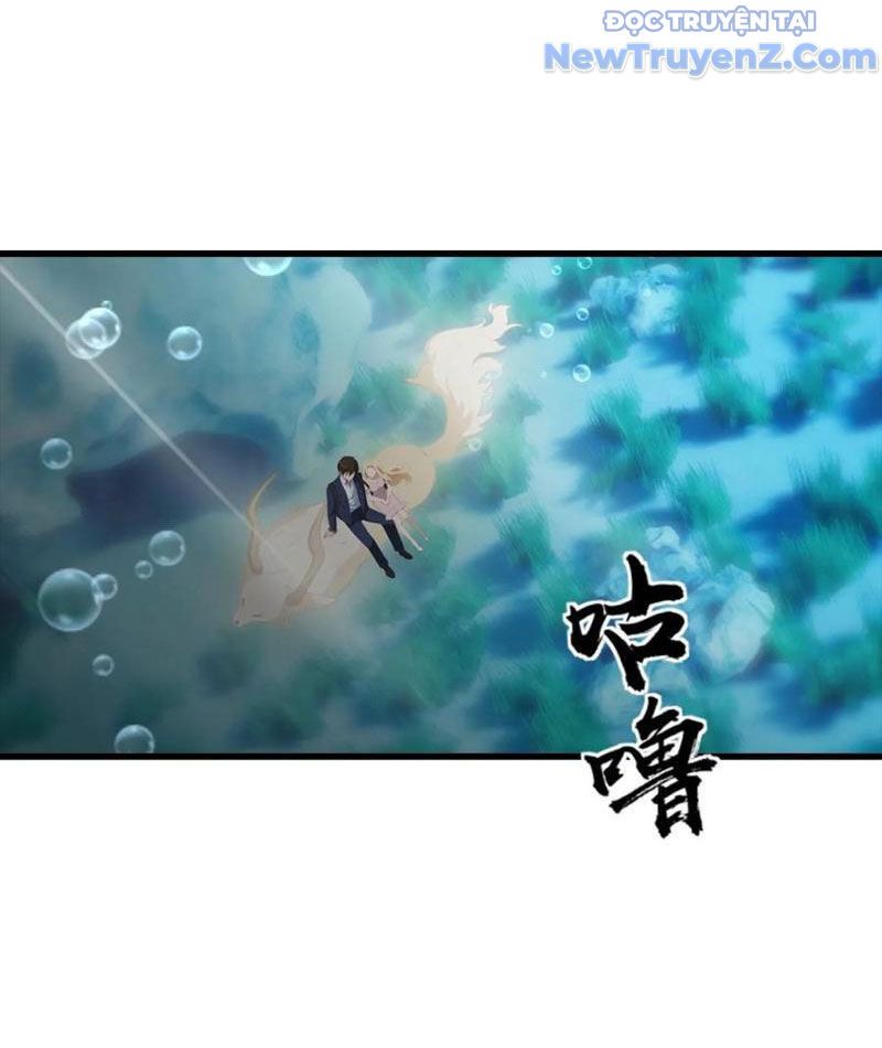 Đô Thị Thánh Thủ: Ta Là Y Võ Đỉnh Phong
