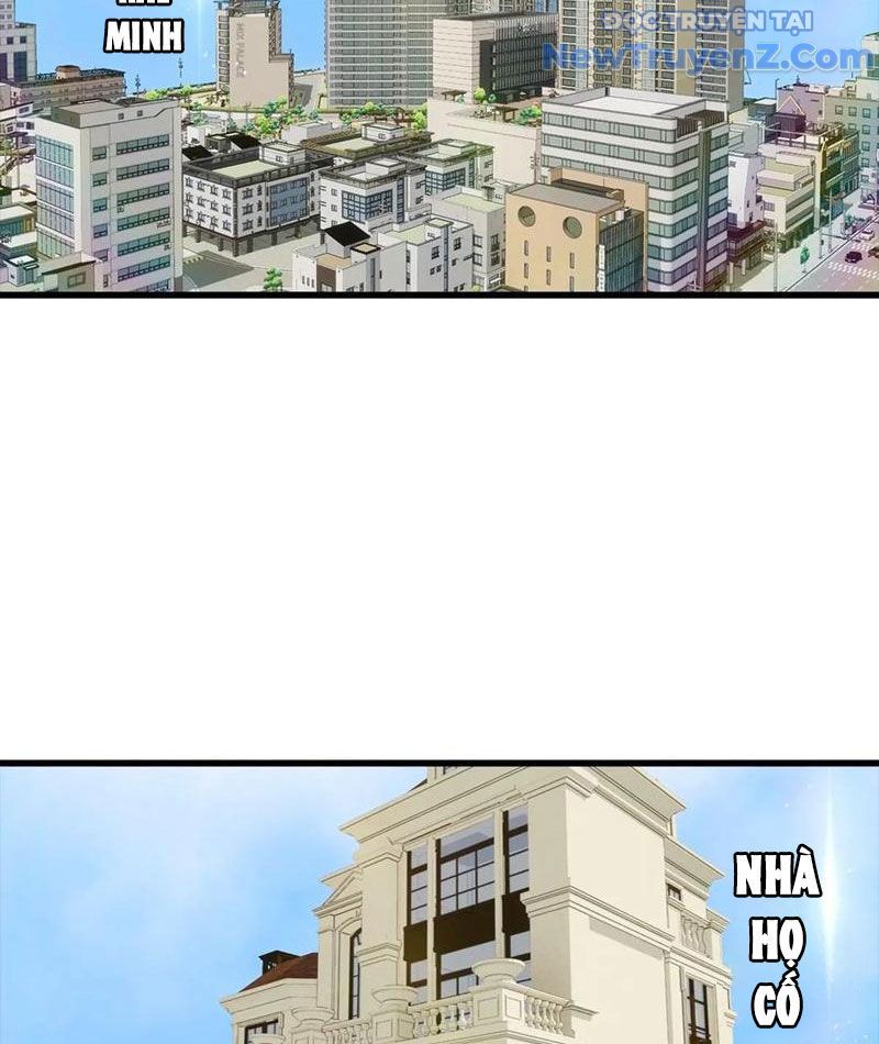 Đô Thị Thánh Thủ: Ta Là Y Võ Đỉnh Phong