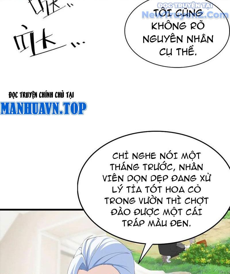 Đô Thị Thánh Thủ: Ta Là Y Võ Đỉnh Phong