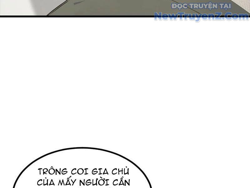 Đô Thị Thánh Thủ: Ta Là Y Võ Đỉnh Phong