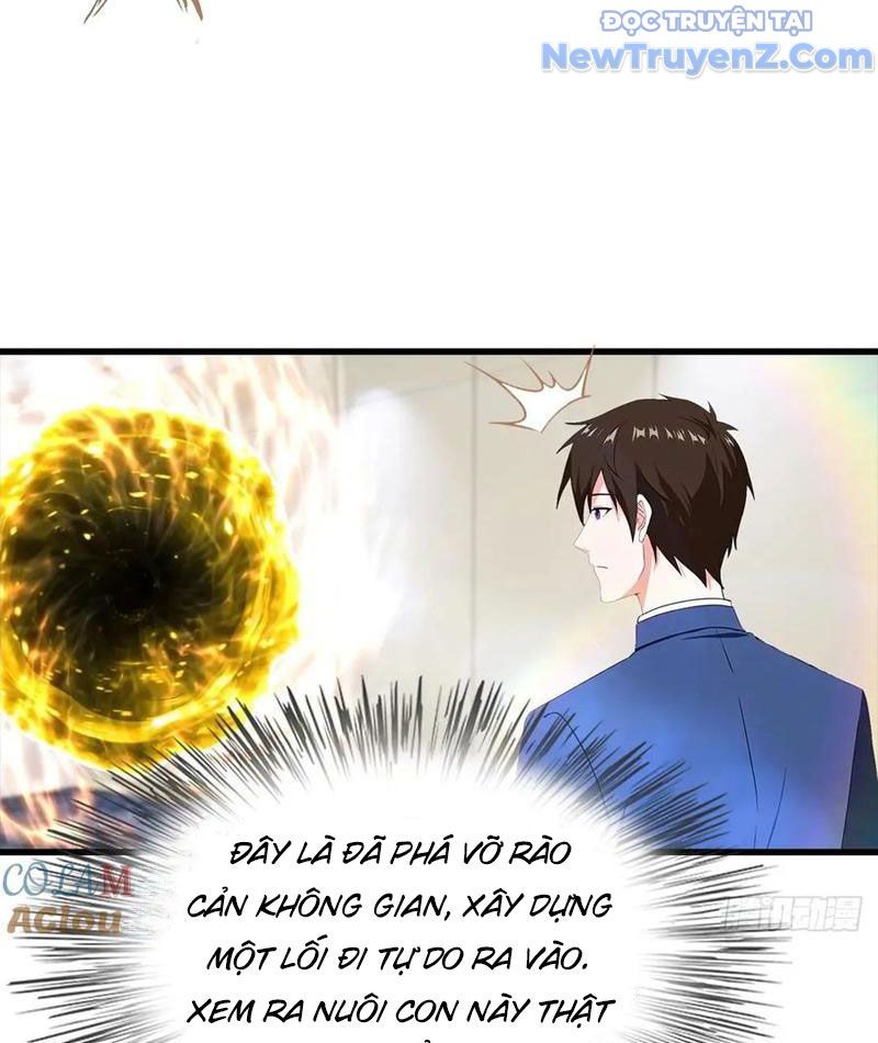 Đô Thị Thánh Thủ: Ta Là Y Võ Đỉnh Phong