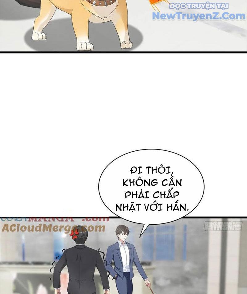 Đô Thị Thánh Thủ: Ta Là Y Võ Đỉnh Phong