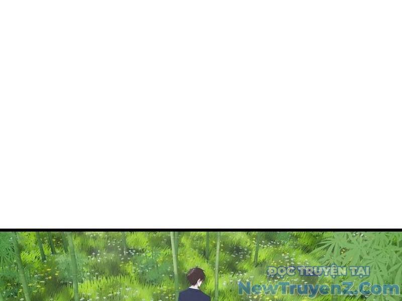Đô Thị Thánh Thủ: Ta Là Y Võ Đỉnh Phong