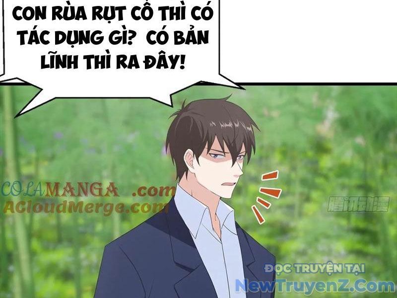 Đô Thị Thánh Thủ: Ta Là Y Võ Đỉnh Phong
