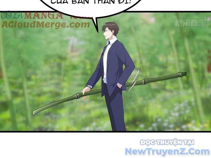 Đô Thị Thánh Thủ: Ta Là Y Võ Đỉnh Phong