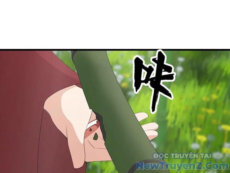 Đô Thị Thánh Thủ: Ta Là Y Võ Đỉnh Phong