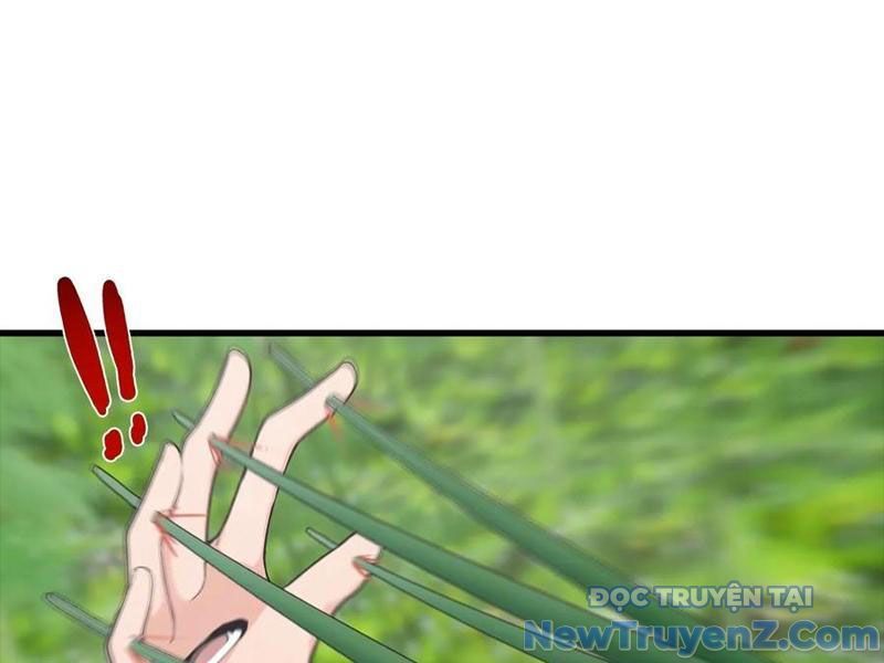 Đô Thị Thánh Thủ: Ta Là Y Võ Đỉnh Phong
