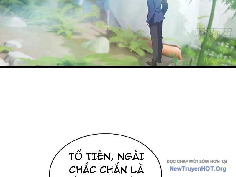 Đô Thị Thánh Thủ: Ta Là Y Võ Đỉnh Phong