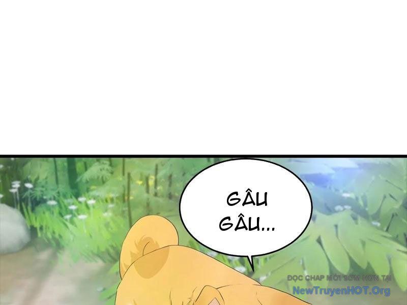 Đô Thị Thánh Thủ: Ta Là Y Võ Đỉnh Phong