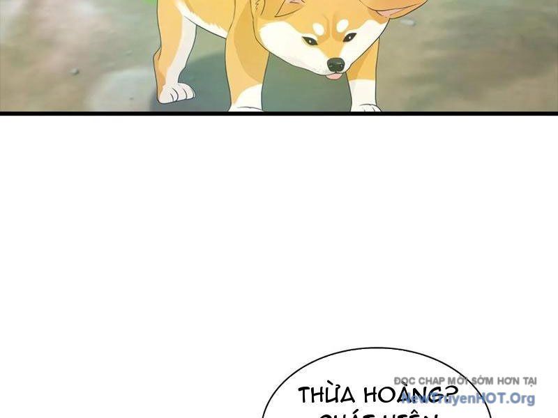 Đô Thị Thánh Thủ: Ta Là Y Võ Đỉnh Phong