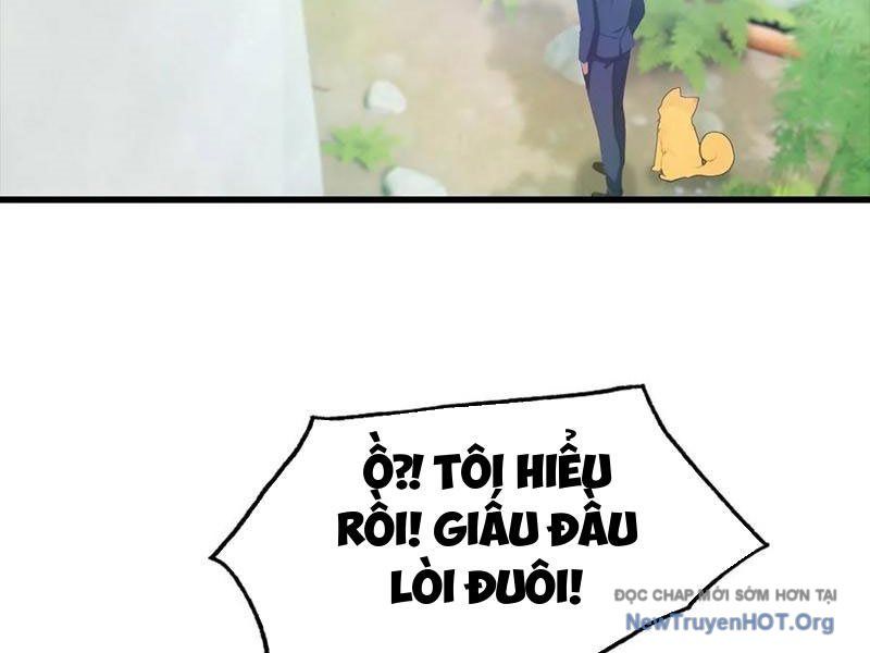 Đô Thị Thánh Thủ: Ta Là Y Võ Đỉnh Phong