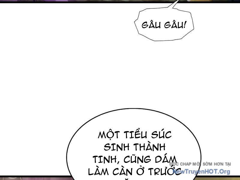 Đô Thị Thánh Thủ: Ta Là Y Võ Đỉnh Phong