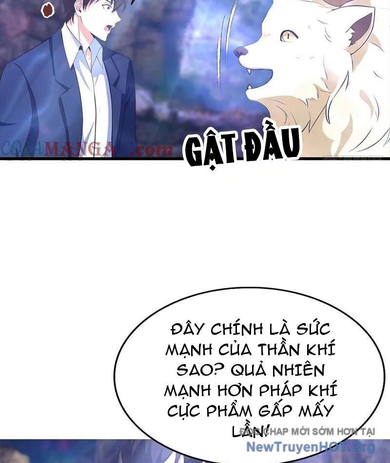 Đô Thị Thánh Thủ: Ta Là Y Võ Đỉnh Phong