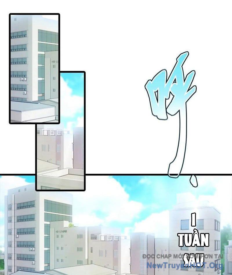Đô Thị Thánh Thủ: Ta Là Y Võ Đỉnh Phong