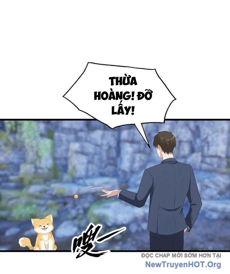 Đô Thị Thánh Thủ: Ta Là Y Võ Đỉnh Phong