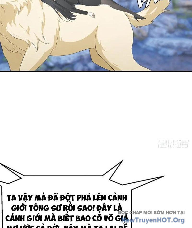 Đô Thị Thánh Thủ: Ta Là Y Võ Đỉnh Phong
