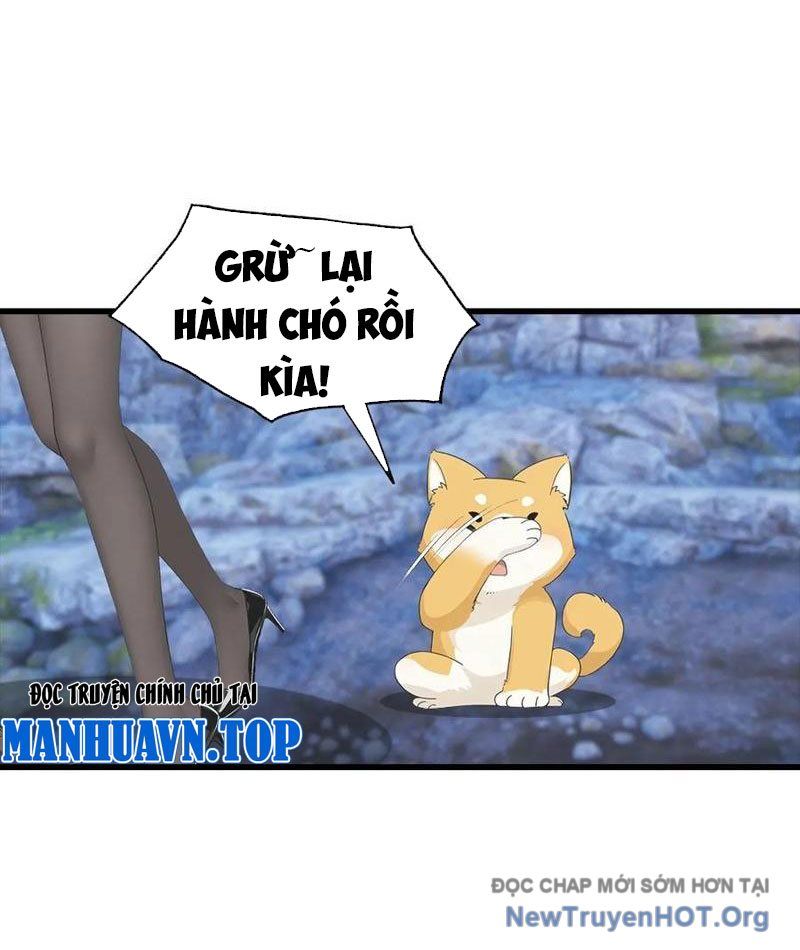 Đô Thị Thánh Thủ: Ta Là Y Võ Đỉnh Phong