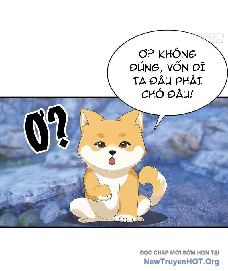 Đô Thị Thánh Thủ: Ta Là Y Võ Đỉnh Phong