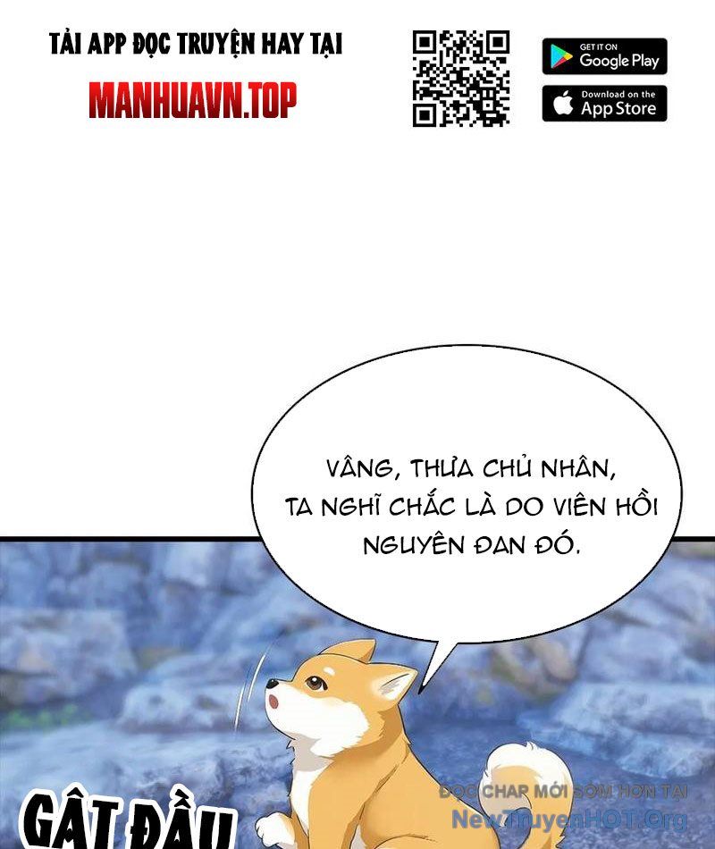 Đô Thị Thánh Thủ: Ta Là Y Võ Đỉnh Phong