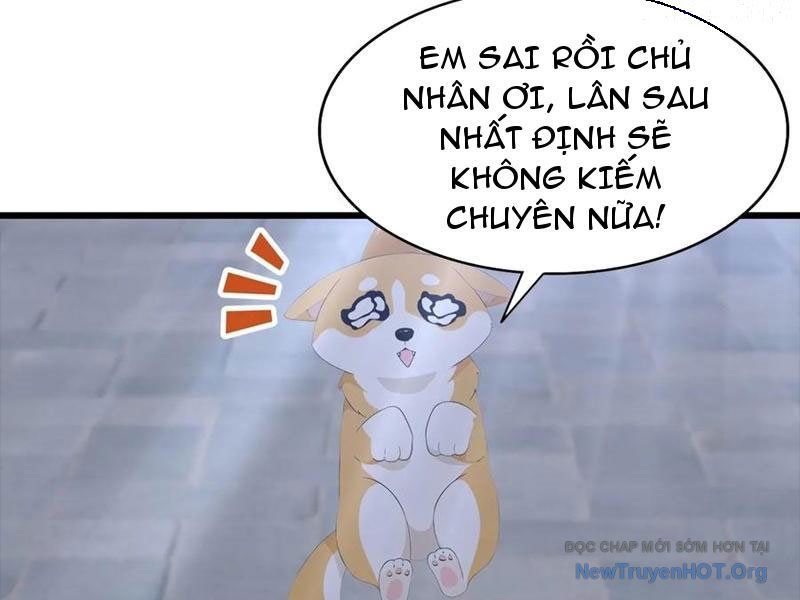 Đô Thị Thánh Thủ: Ta Là Y Võ Đỉnh Phong