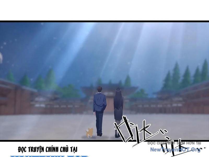 Đô Thị Thánh Thủ: Ta Là Y Võ Đỉnh Phong