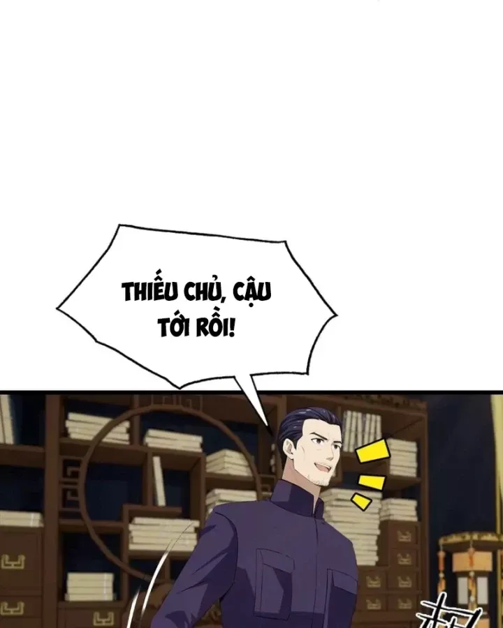 Đô Thị Thánh Thủ: Ta Là Y Võ Đỉnh Phong