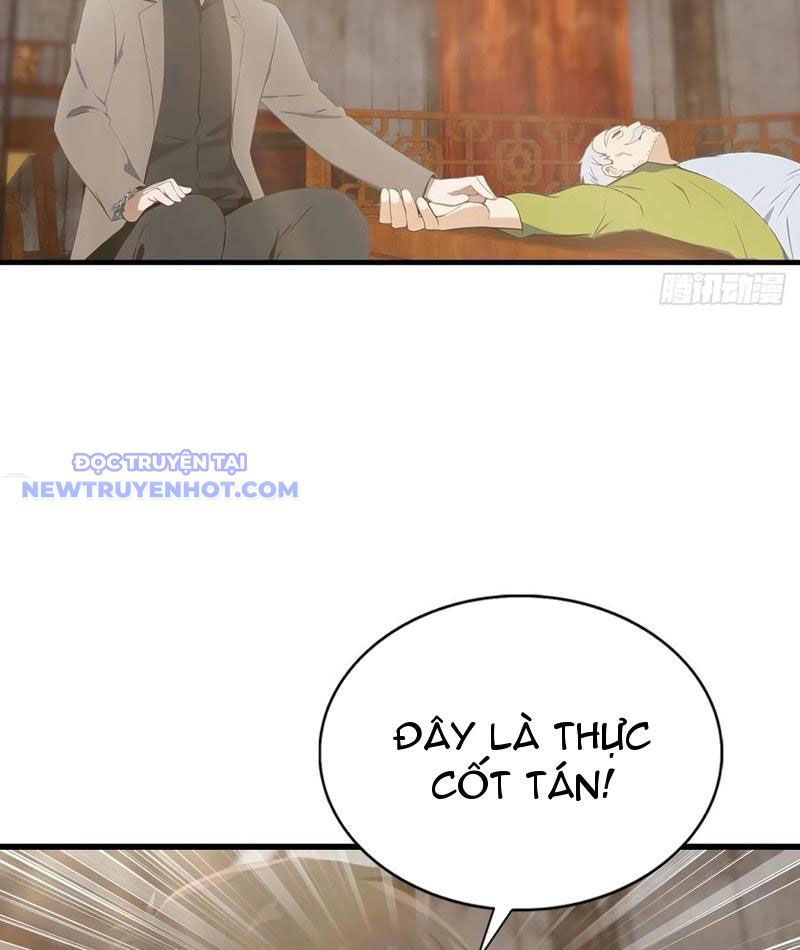Đô Thị Thánh Thủ: Ta Là Y Võ Đỉnh Phong