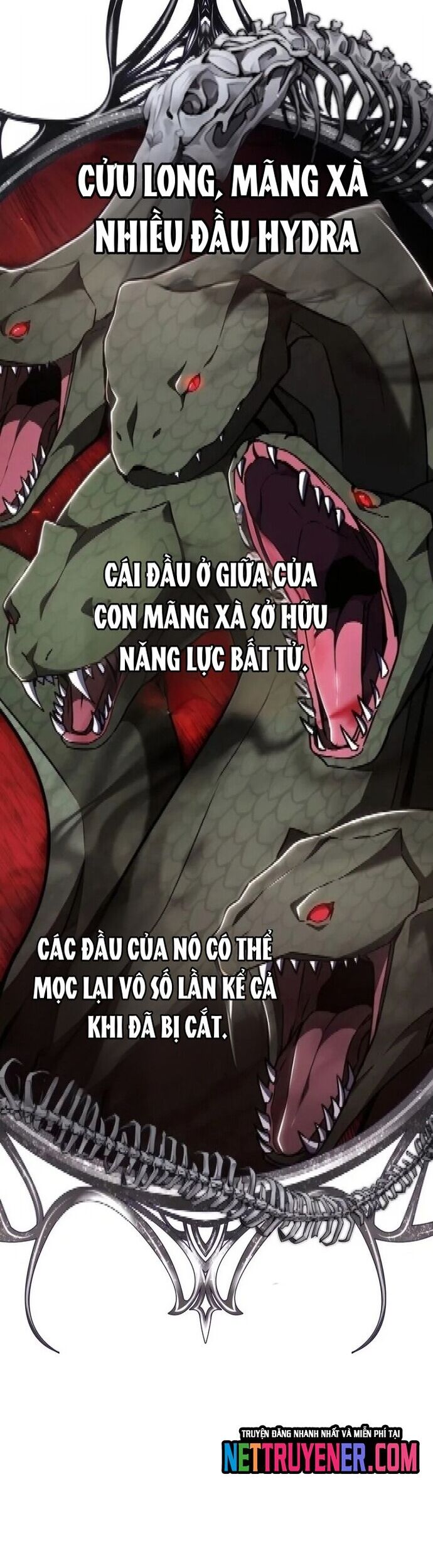 Đăng Ký Kênh Siêu Phàm