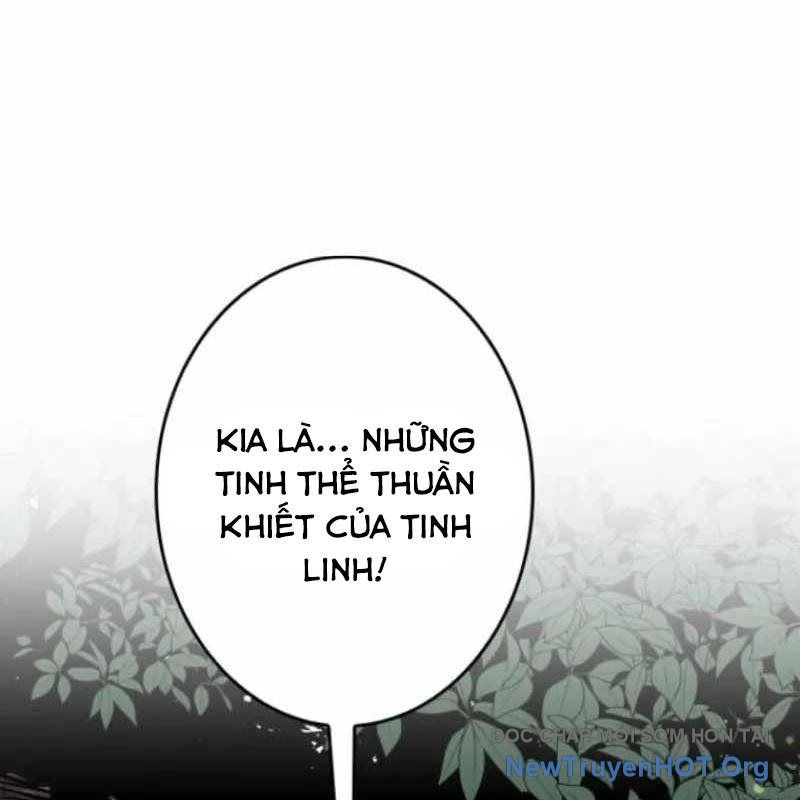 Chinh Phục Hầm Ngục Bằng Sao Chép Và Dán!