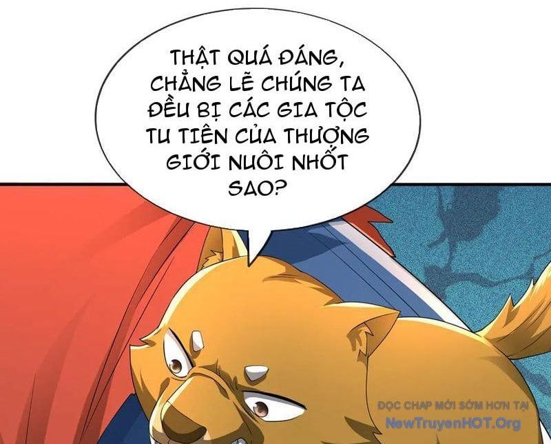Thu Triệu Vạn Đồ Đệ, Vi Sư Vô Địch Thế Gian