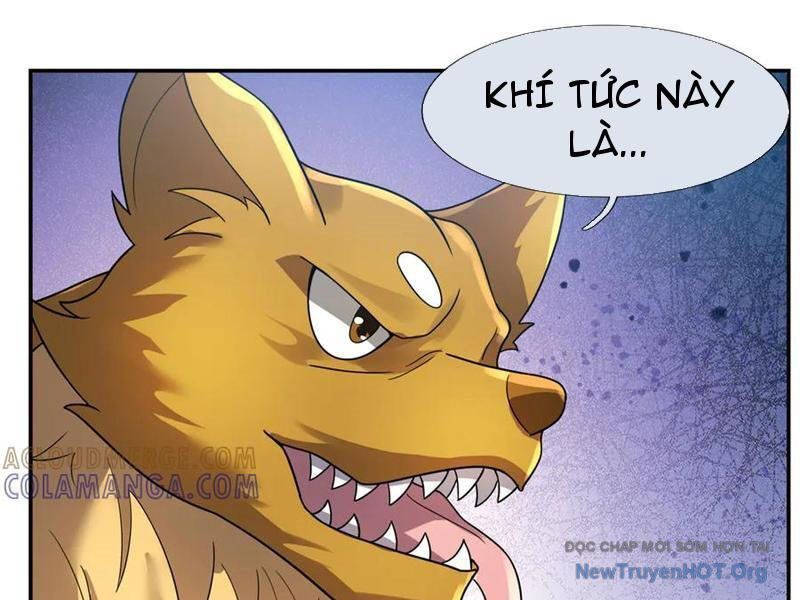 Thu Triệu Vạn Đồ Đệ, Vi Sư Vô Địch Thế Gian