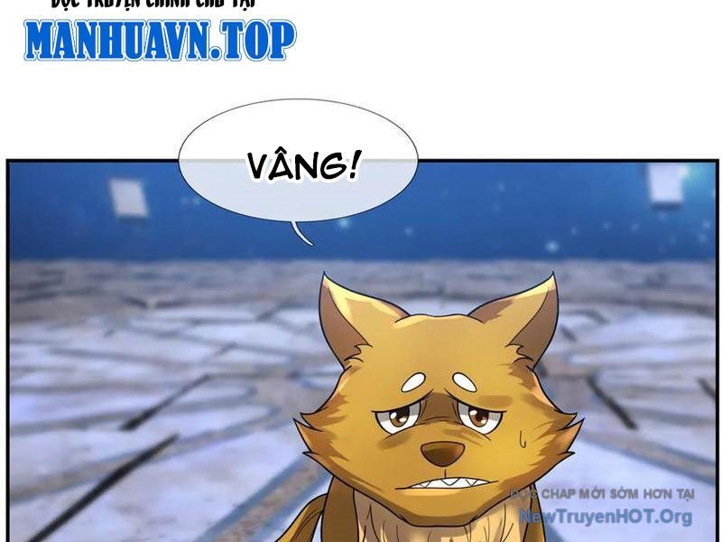 Thu Triệu Vạn Đồ Đệ, Vi Sư Vô Địch Thế Gian