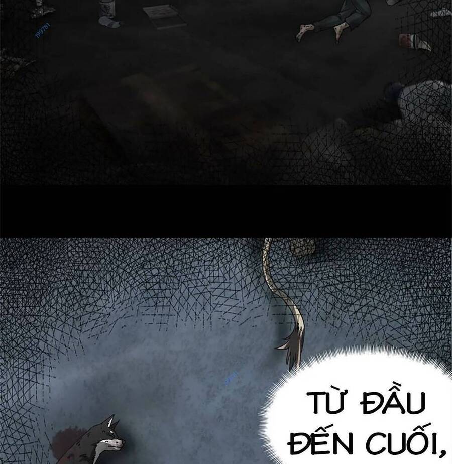 Tận Thế Trò Chơi Ghép Hình