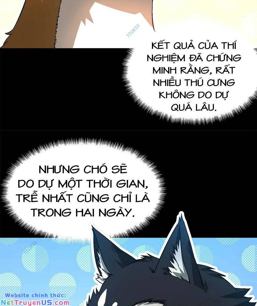 Tận Thế Trò Chơi Ghép Hình