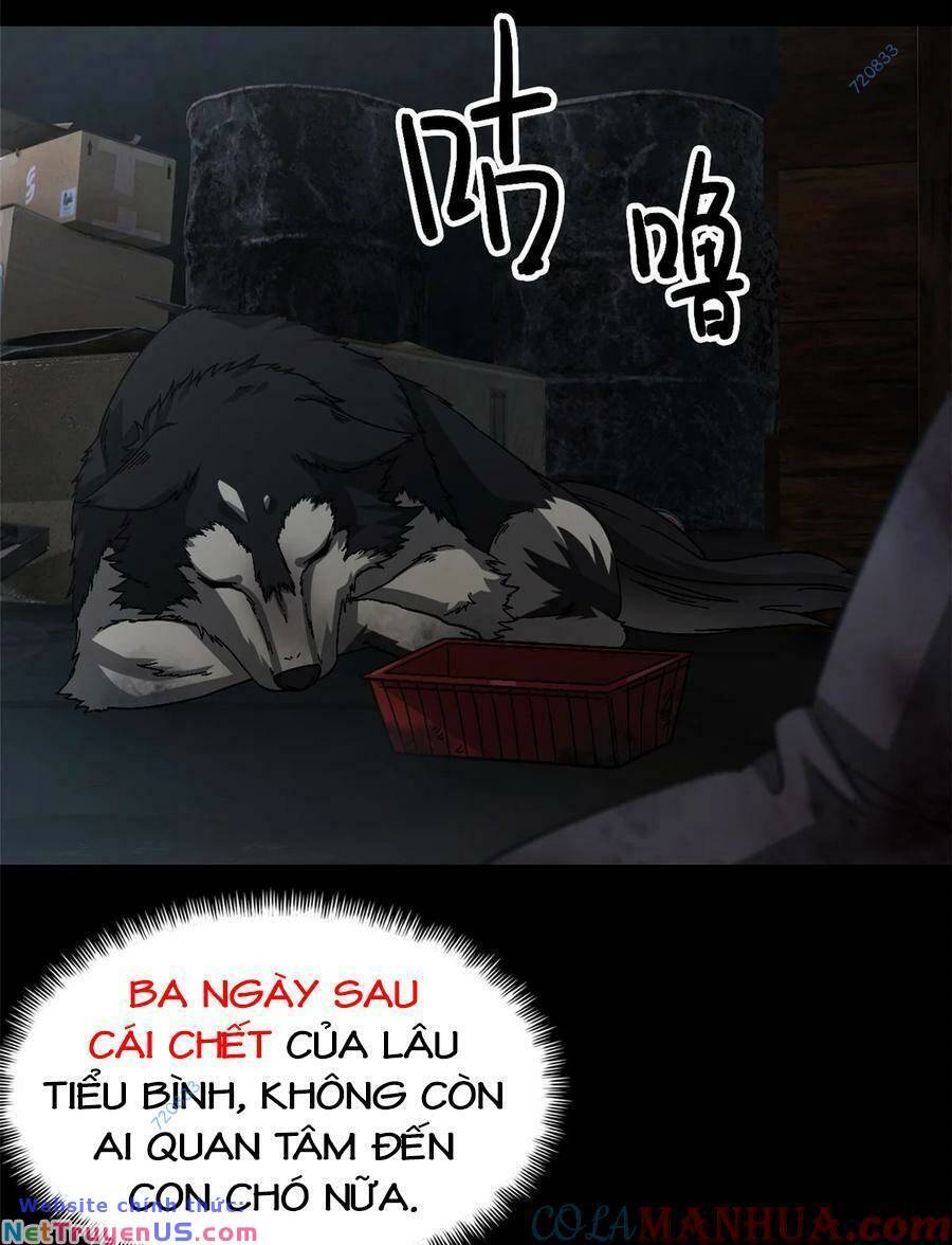 Tận Thế Trò Chơi Ghép Hình