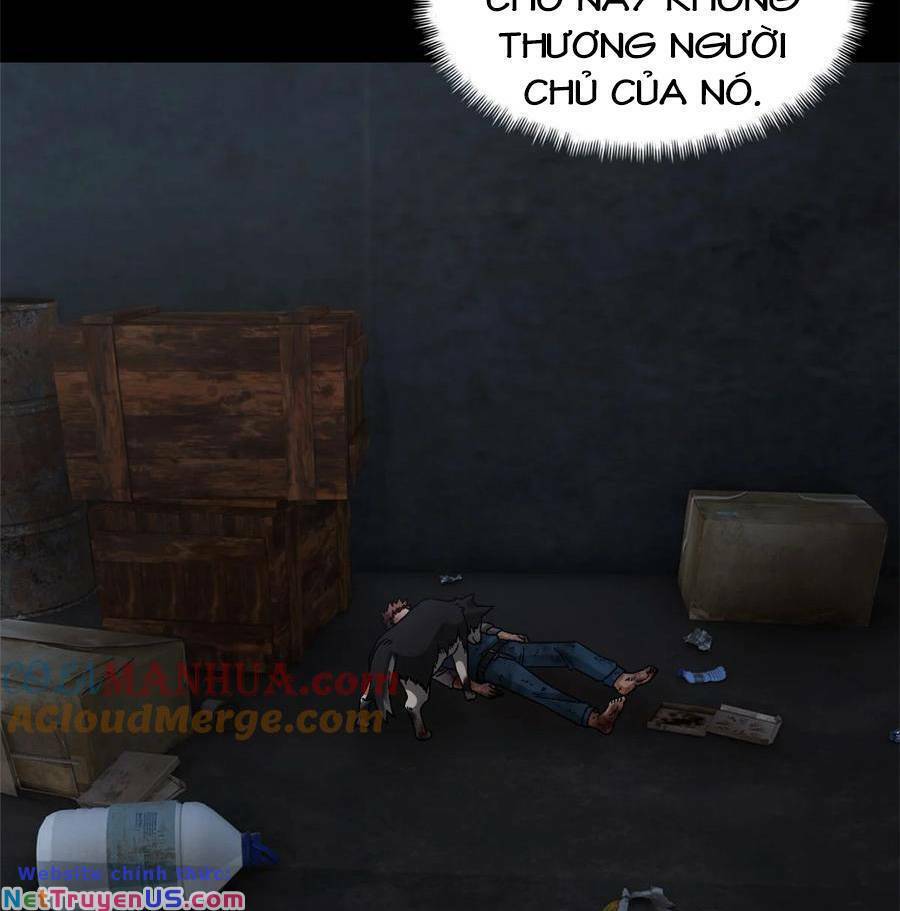 Tận Thế Trò Chơi Ghép Hình