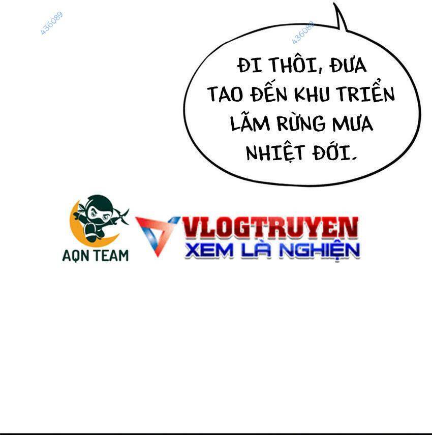 Tận Thế Trò Chơi Ghép Hình
