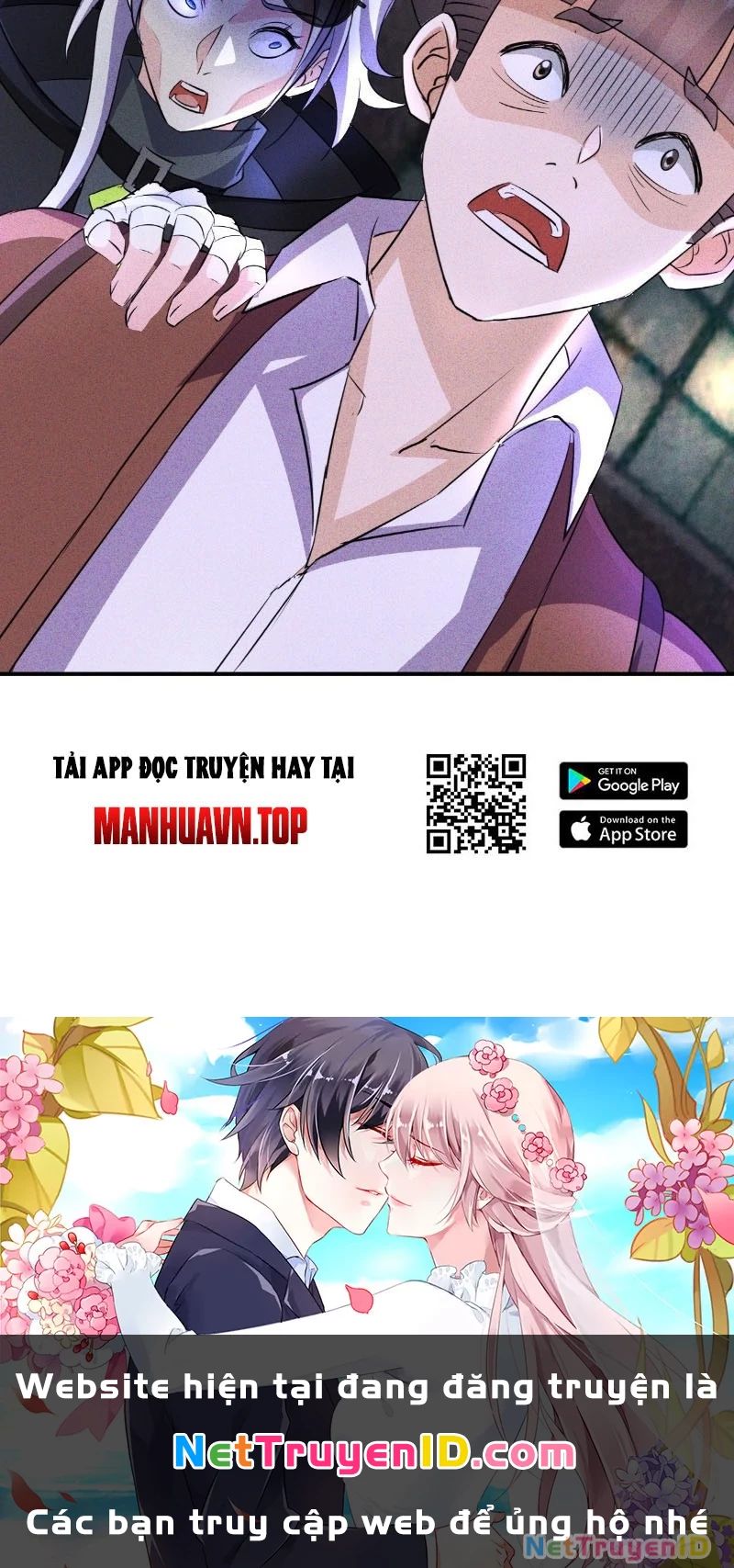 Ta Vô Địch Phản Sáo Lộ