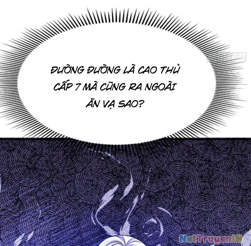 Ta Vô Địch Phản Sáo Lộ