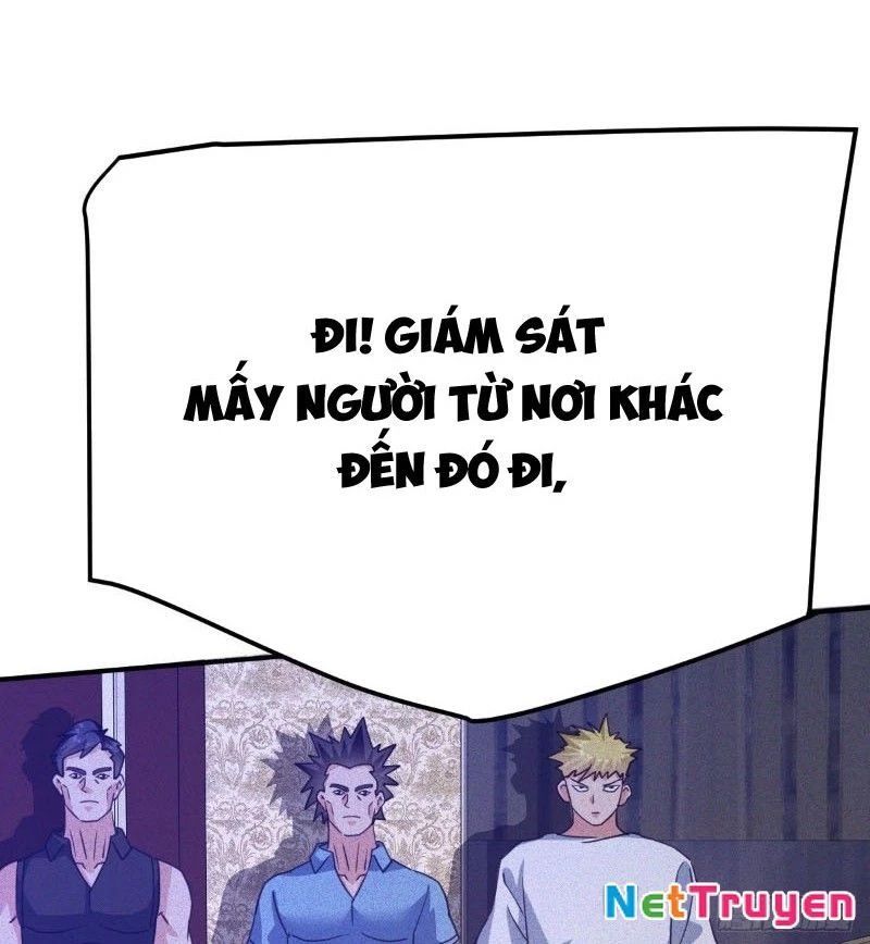Ta Vô Địch Phản Sáo Lộ