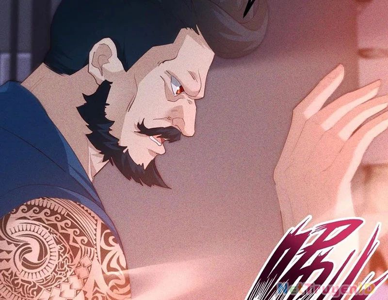 Ta Vô Địch Phản Sáo Lộ